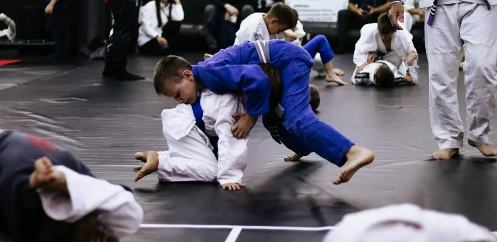 джиу-джитсу.jpg
